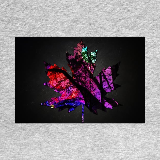 Maple leaf on black background by Choulous79